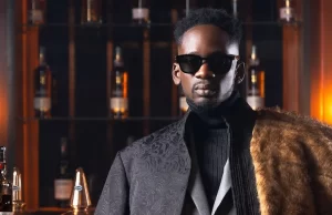 Mr Eazi Sells Portfolio Company, Vydia, For $1bn