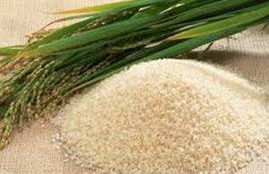 Consider the use of local rice for school feeding – Rice farmers