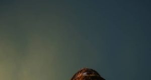 Tracel Foods Founder Credits Prophet El Bernard Support for Business Success