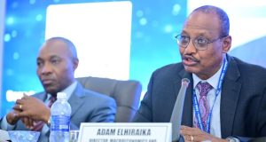 Accelerated action for African LLDCs and LDCs needed to achieve sustainable development