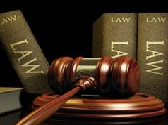 CSOs in Ghana urge stronger forest protection after L.I. repeal