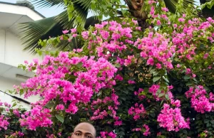 Davido speaks on rift with Tiwa Savage