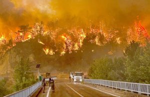 Turkey faces ‘truly great disaster’, warns Erdogan amid raging wildfires and sweltering temperatures across Europe | World News