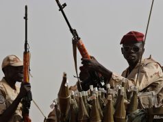 Sudan’s RSF agrees to US proposal for humanitarian ceasefire | World News