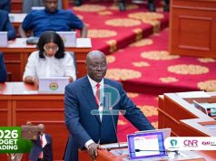 2026 Budget: Government to launch Creative Arts Fund