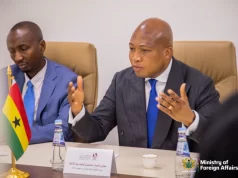 Government Links E-Visa Policy to Economic Growth and Diaspora Investment