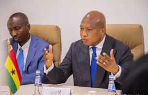 Government Links E-Visa Policy to Economic Growth and Diaspora Investment