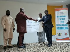 Ghana receives $2.86m ARC drought insurance payout to support farmers