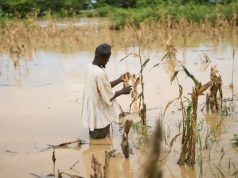 National Farmers’ Day: A celebration built on poisoned soil and toxic rivers