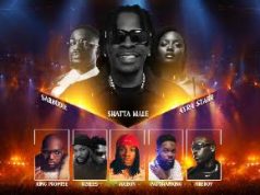 GTCO Music Concert 2025 review: Big stars, bigger crowd, mixed execution