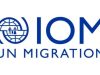 IOM Ghana Pledges Stronger Migration Governance on International Migrants Day