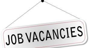 Unemployment eases to 12.8% in Q3 2025 – GSS