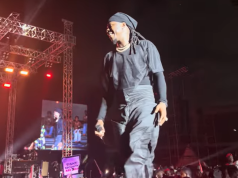 Stonebwoy hosts star-studded 10th BhimFest at Accra Sports Stadium