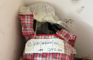 Forestry Commission seizes 3,967 dried shark fins