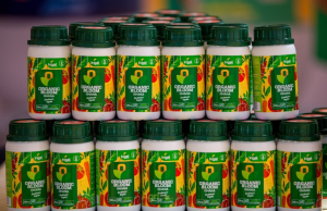 Agrihouse Foundation and Organic Bloom Ghana launch organic product