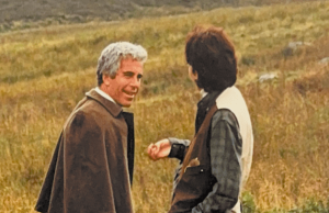 Images of Trump among documents removed from latest Epstein files release | US News