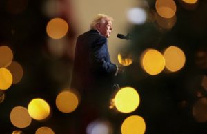 How Trump has supercharged the new world dis-order | World News