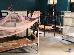 Nigerian government secures release of 100 abducted schoolchildren – reports | World News