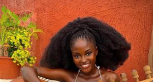 Hamamat Montia’s Shea Butter Museum steals the show on IShowSpeed tour