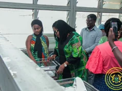 Gender Minister oversees safe discharge of baby stolen from Mamprobi Hospital