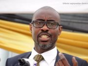 Dismantle borders to enhance intra-Africa trade – Ace Ankomah