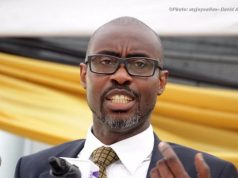 Dismantle borders to enhance intra-Africa trade – Ace Ankomah