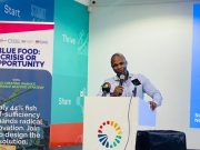 Blue Food Innovation Hub targets US$10m investment for aquaculture