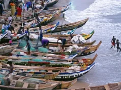 Editorial: Artisanal fishing communities paying a heavy price