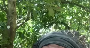 Beautiful Ghanaian lady cries over heartbreak