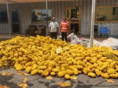 Tema police intercept truck loaded with 3,000 slabs of suspected weed, refuse GH¢150k bribe