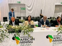 MIIF CEO champions de-risking and collaboration at Mining Indaba 2026