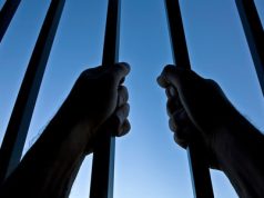 Farmer behind bars for damaging colleague’s cocoa farm