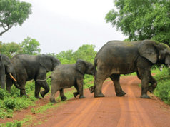 Ghana must own Africa’s most compelling billion-dollar tourism storytelling export