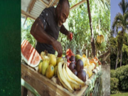 Why Jamaica is defining the way we travel in 2026