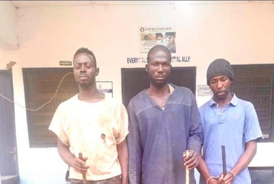 Wa District Magistrate Court convicts three for unlawful possession of firearms and ammunition