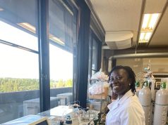 Harnessing beneficial microbes: A natural solution for sustainable rice production