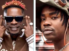 Dream Advice from Shatta Wale Made Me Cut Down Music Travels – Darkovibes
