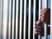 Unemployed woman jailed two years for stealing