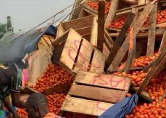 PFAG calls for food self-sufficiency after traders killed in Burkina Faso