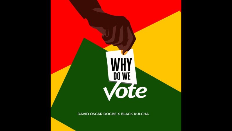 why-do-we-vote-lyric-video-david.jpg
