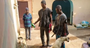 Abura Dunkwa Gyasehene Destooled Over Relationship With Fetish Priestess