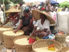 Women and urban hubs drive Ghana’s 2.6 million business landscape