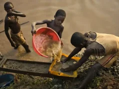 Illegal mining threatens national survival – NAIMOS