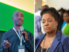 Domestic investors poised to fund private sector and Big Push