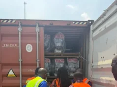 EPA intercepts over one thousand changfangs at Tema Port