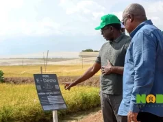 Mahama commends Nobi Agriculture on scale of Afram Plains project