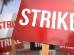 Northern Region CLOGSAG joins nationwide strike over unfulfilled government commitments