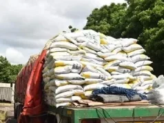 Middle East Tensions: World Bank warns of fertiliser price surge