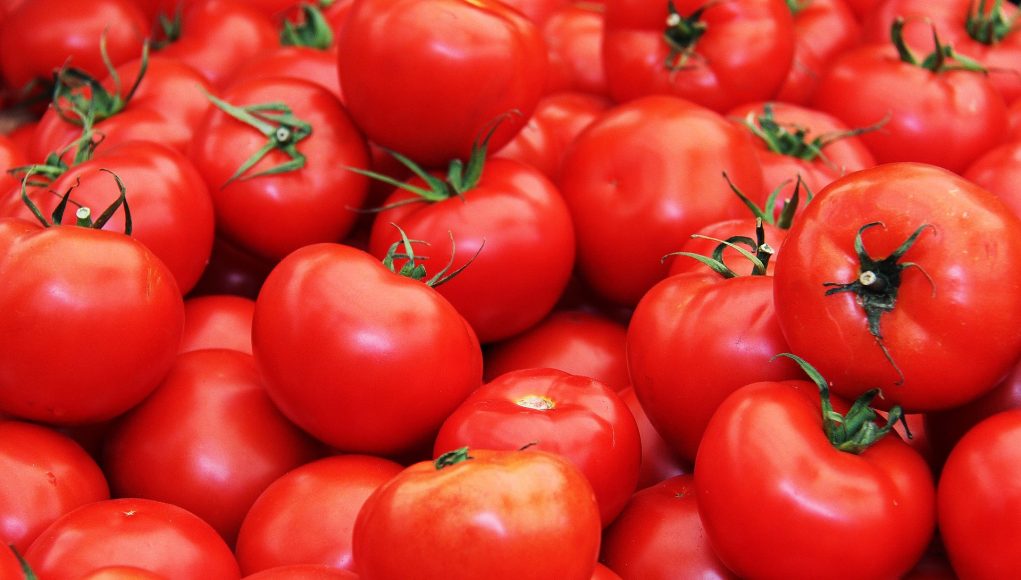 fresh-tomatoes.jpg
