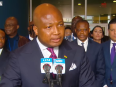 The world has spoken the truth through UN slavery resolution – Ablakwa